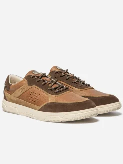 Tennis Homme Textile Camaieu Marron GUYLHEM